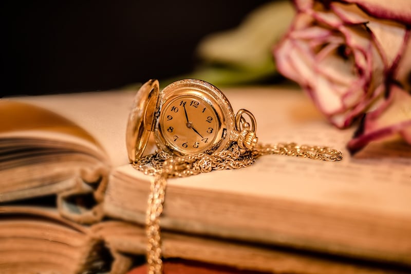 The Time Traveler